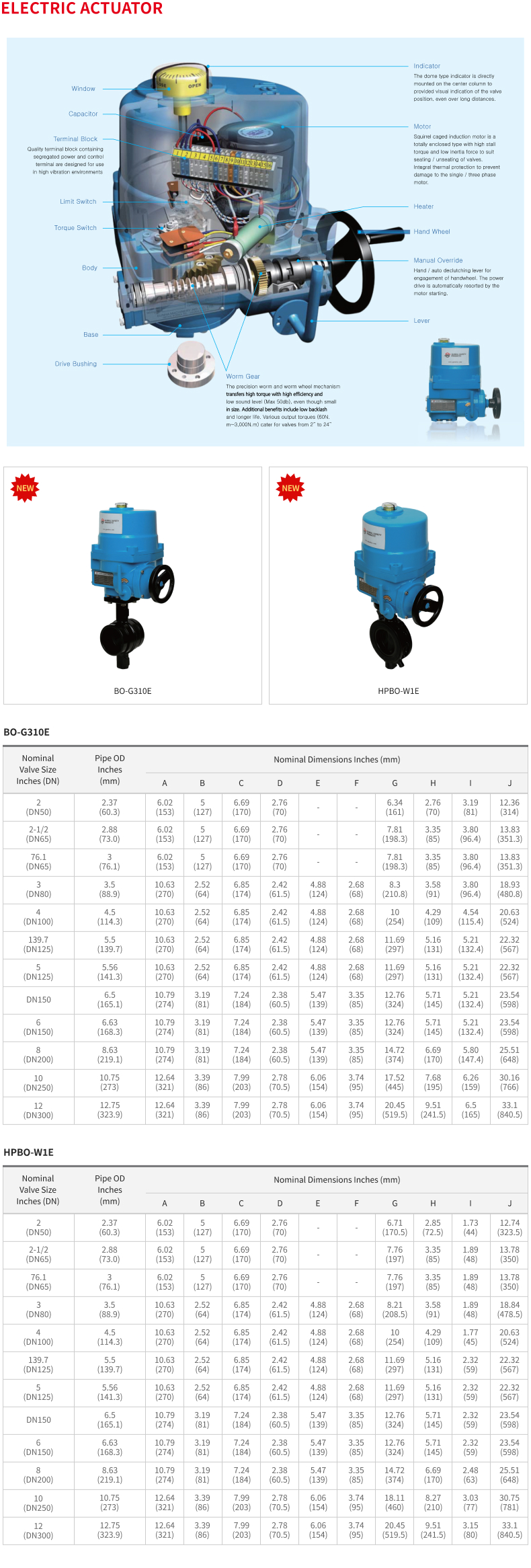 ELECTRIC ACTUATOR